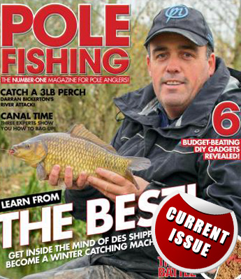 Current Issue