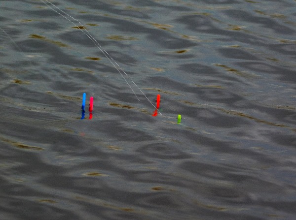 Combo Float 1
