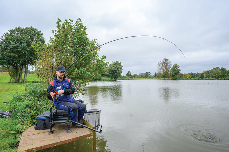 Want impressive on a sensible budget? Take a look at Shimano's latest  offering!