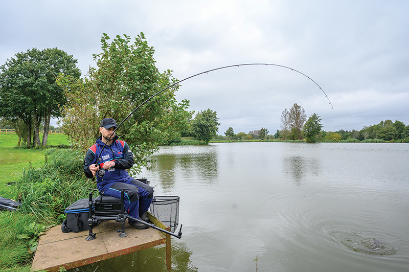 adjust handle on shimano spinning reel Amazon.com: HEIGHTEN 65-70mm Spinning Reel Handle for Shimano Stradic FL FM  Stella Vanford Vanquish Nasci Twinpower Daiwa Fuego BG MQ Ballistic Certate  Luvias Tatula (Dark Grey, 35mm Knob & 65/70mm Handle) (0613) :