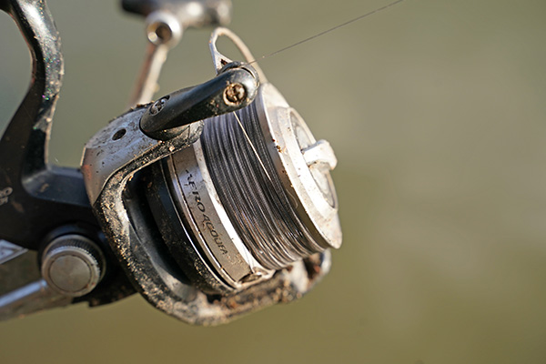 Reservoir Feeder Fishing - Sean Cameron