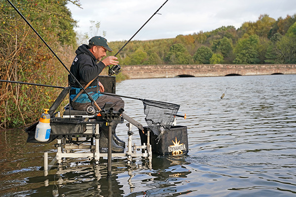 Reservoir Feeder Fishing - Sean Cameron