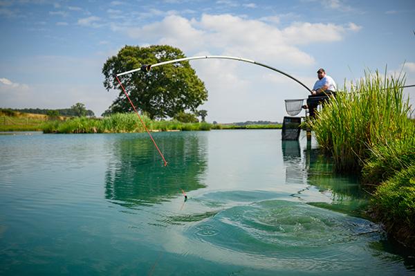 Pole Fishing, Page 4